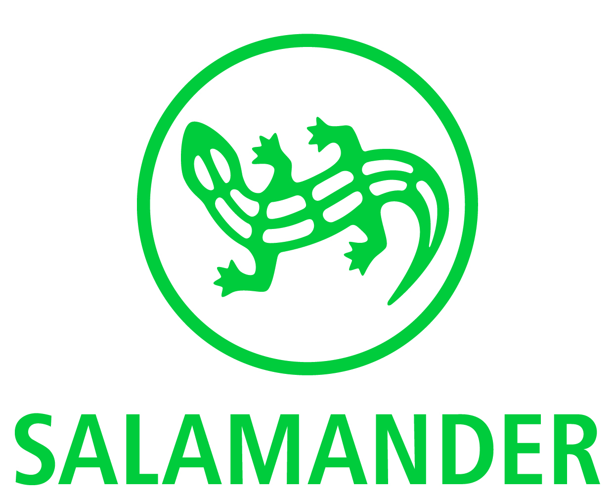 salamander Salamander